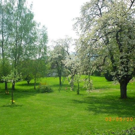 Entre Thur Et Montagne Bed and Breakfast Willer-sur-Thur Buitenkant foto