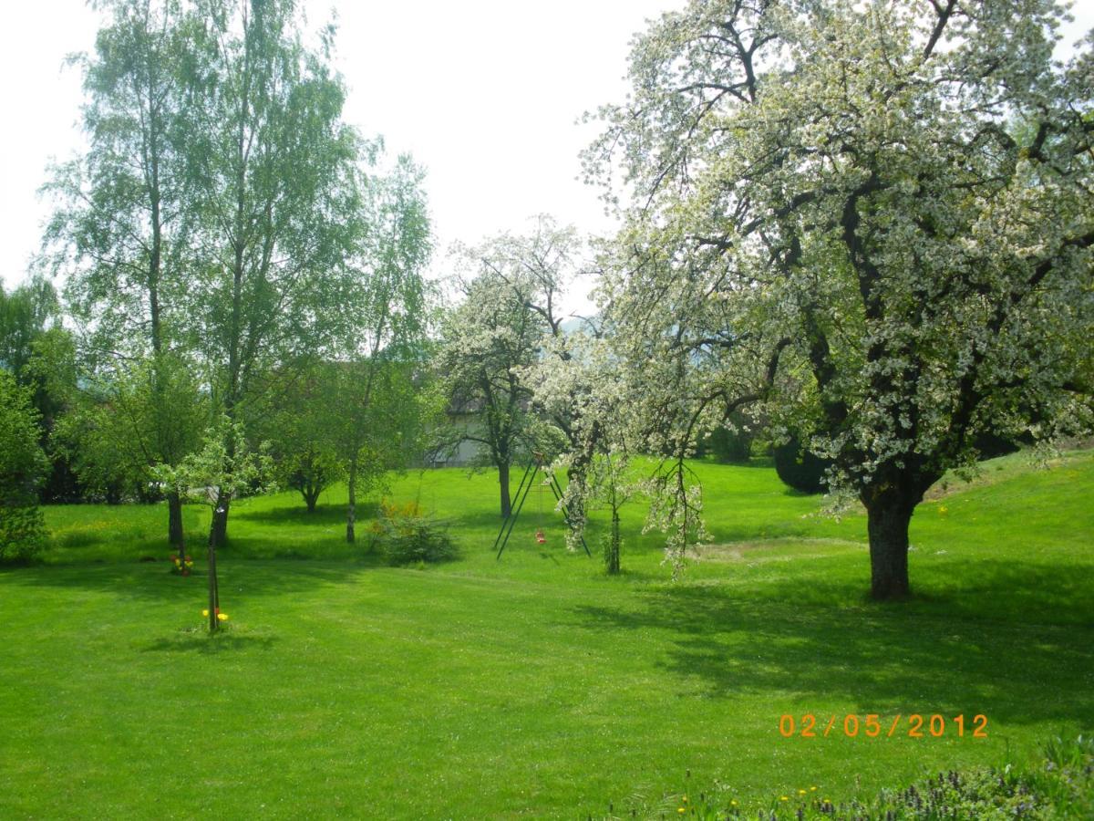 Entre Thur Et Montagne Bed and Breakfast Willer-sur-Thur Buitenkant foto