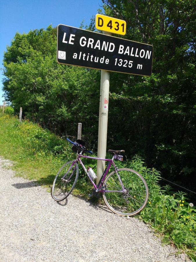 Entre Thur Et Montagne Bed and Breakfast Willer-sur-Thur Buitenkant foto
